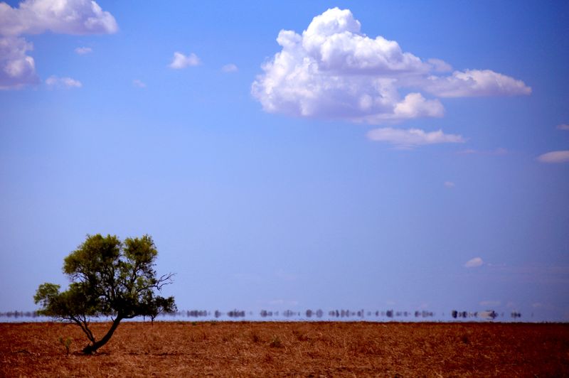L'Australie enregistre un record de température en 62 ans