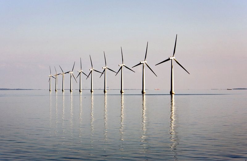 TotalEnergies annonce la construction d'une ferme d'éolien flottant en France