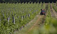Artémis Domaines et Maisons & Domaines Henriot unissent leurs propriétés viticoles