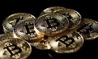 Le bitcoin chute, mais les buralistes veulent en vendre ! 12
