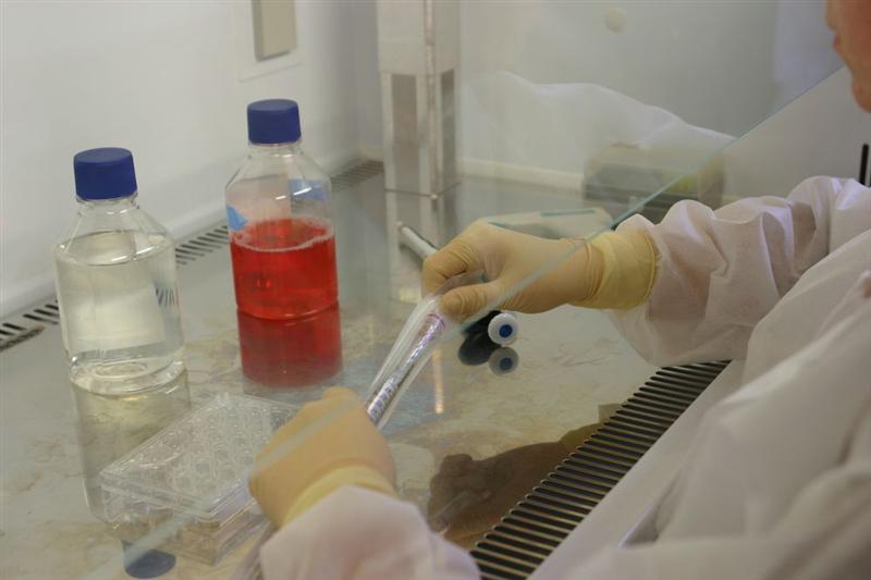L'Institut Pasteur et Cellectis étendent les droits concédés à genOway sur la technologie de recombinaison homologue