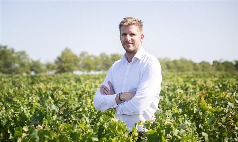 « Primeurs 2019 : le meilleur moment pour investir dans le vin »